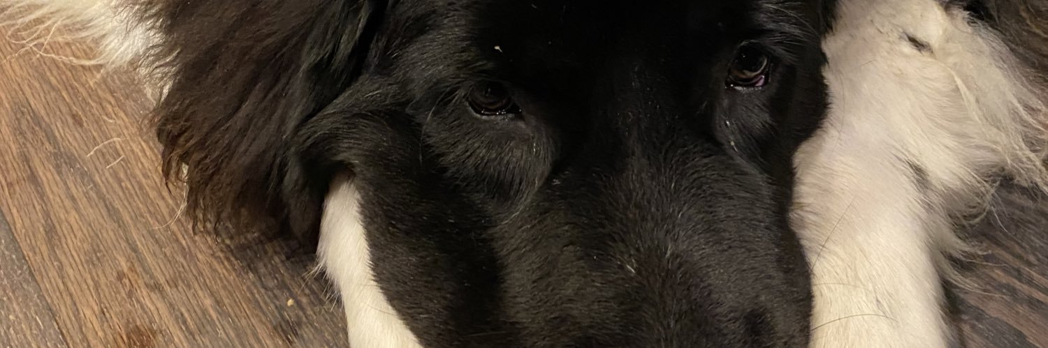 WindowBaller's profile banner image