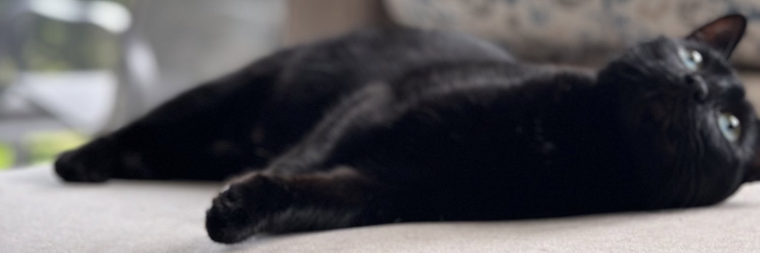 Biscuits_Mom's profile banner image