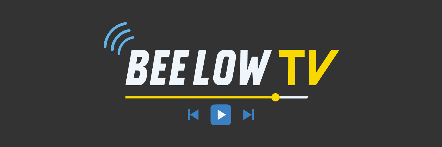 BeeLowTV's profile banner image