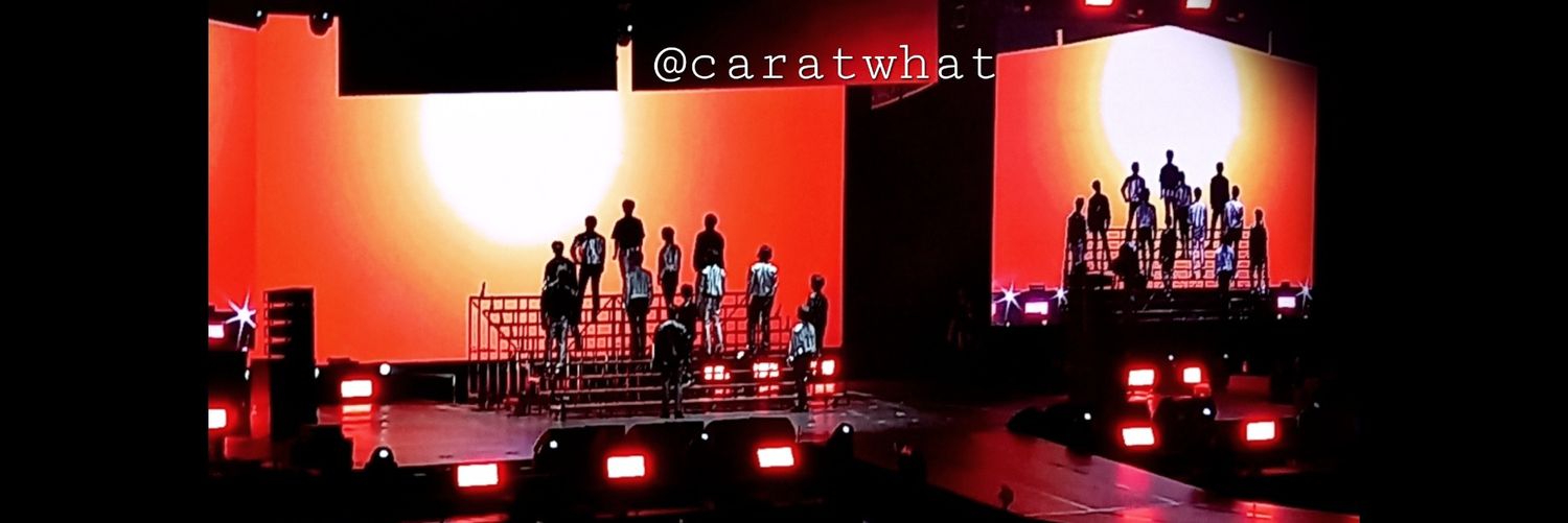 caratwhat's profile banner image