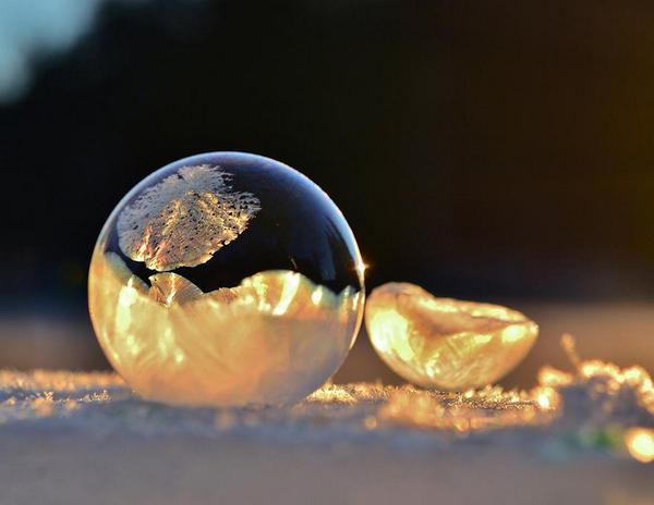Samiksh48345496's profile banner image