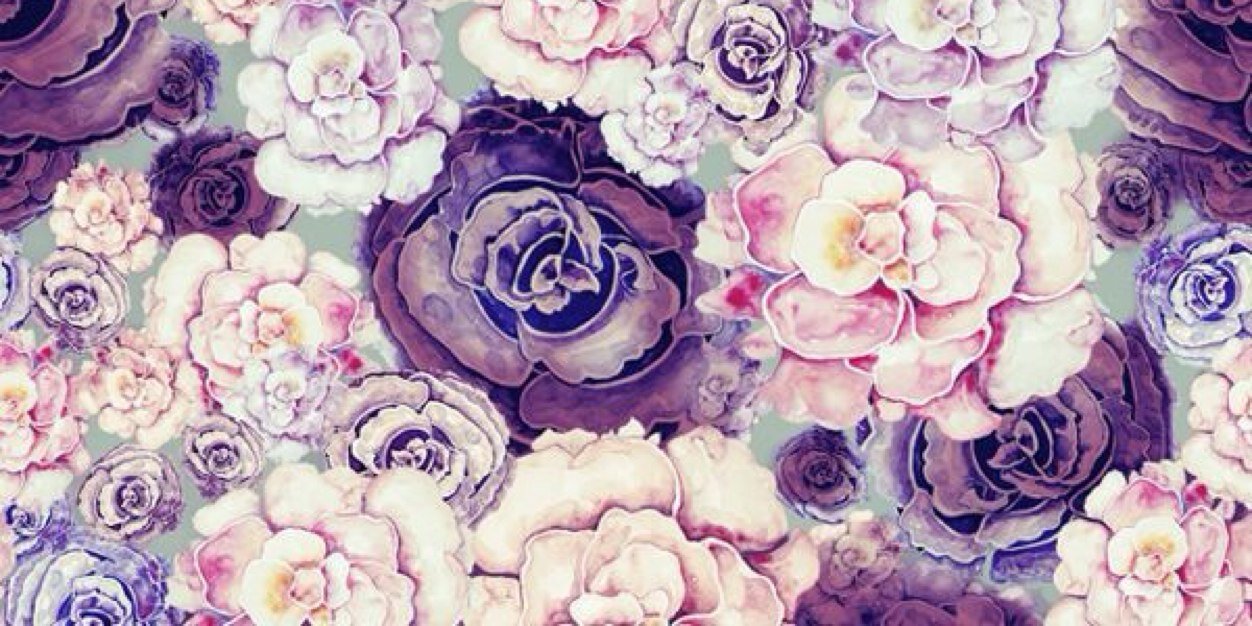 alexia alfaro banner