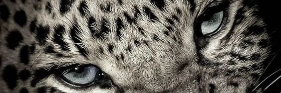 oespinosaa's profile banner image