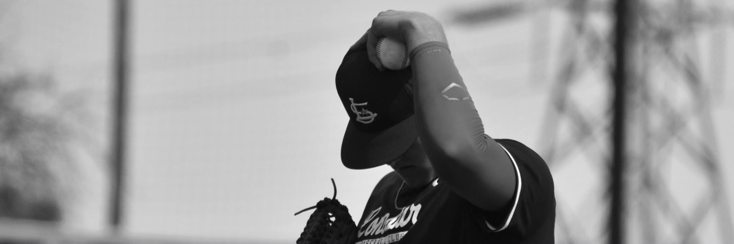 Patrick Collopy banner