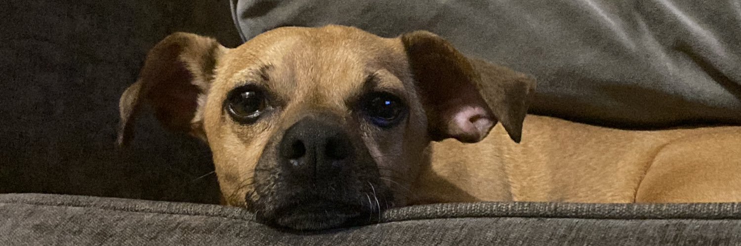 MichelleCHdz's profile banner image
