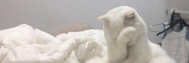 𝒊𝒎𝒂𝒈𝒆 หาย=หลับ banner