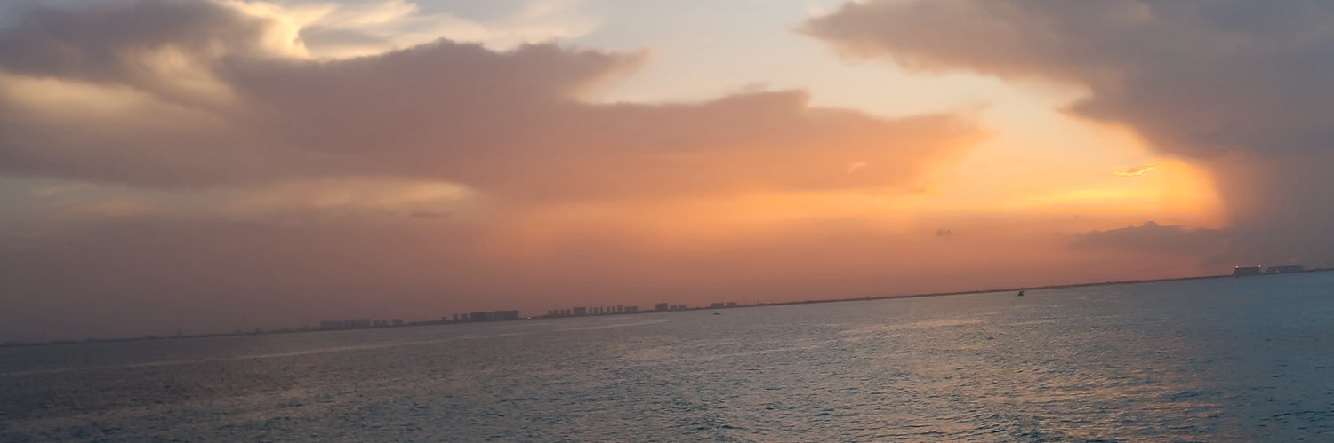 _ShAlanis's profile banner image