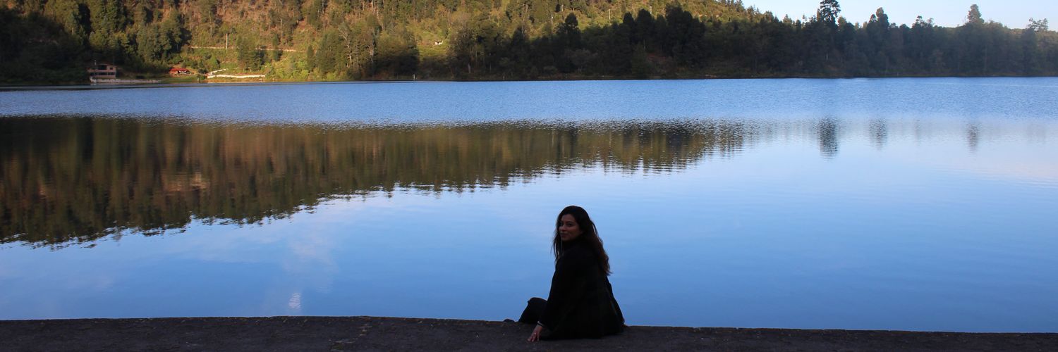 BrendaJCL1's profile banner image