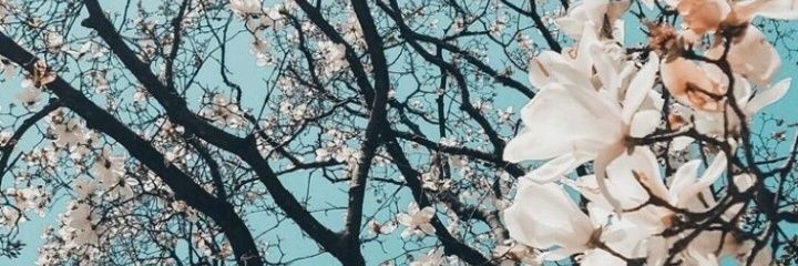 ABrendaCDE's profile banner image