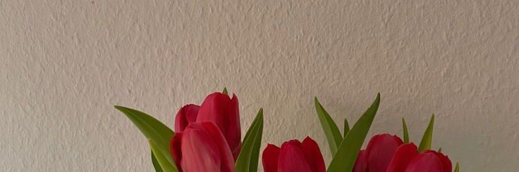 Accio banner