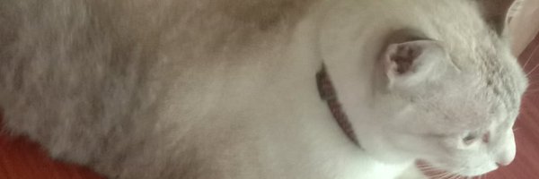 CharactersRale Profile Banner