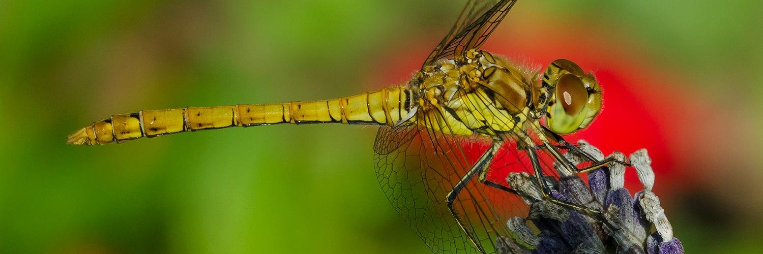 PaulDevonPhoto's profile banner image