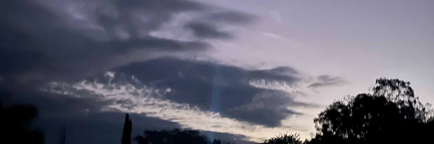 _wildflower10sp's profile banner image