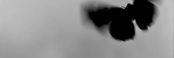 ปังนะว่าไม่ได้ ||| banner