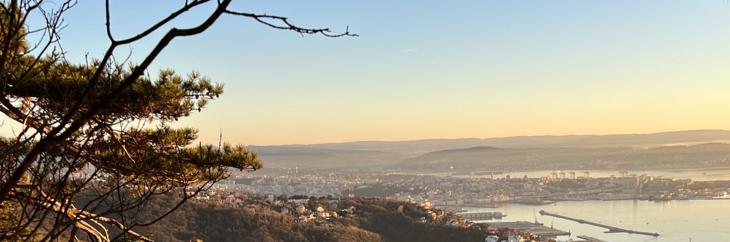 Elisabetta Zaccaria (She/Her) banner
