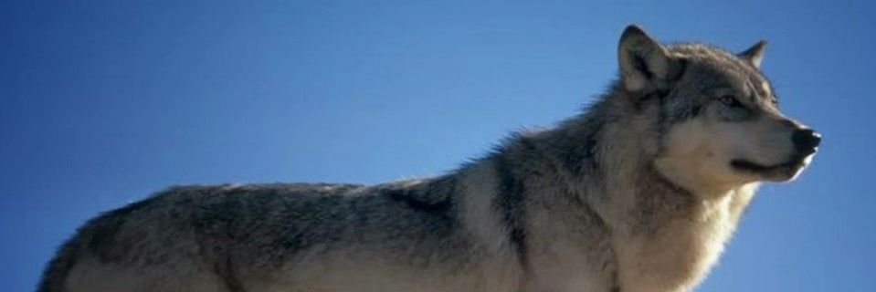 G_xxxxxxxxxxG's profile banner image