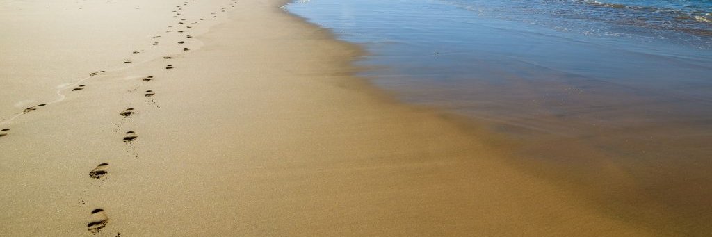 BeachScenes ⛱ banner