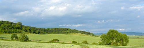 DolceVita banner