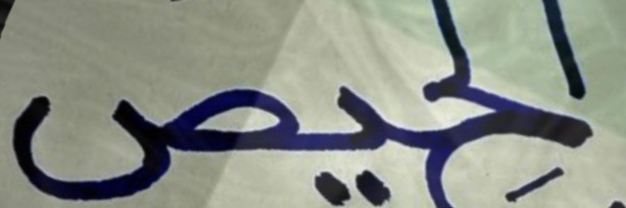 alhees's profile banner image