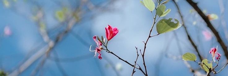 az_tb_77's profile banner image