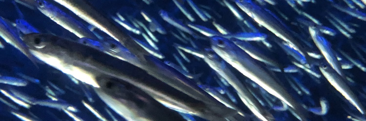 winnieBA_2's profile banner image