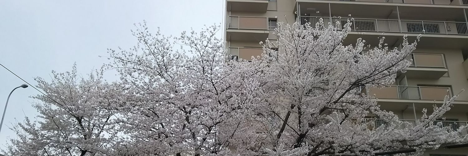 maachan3754's profile banner image