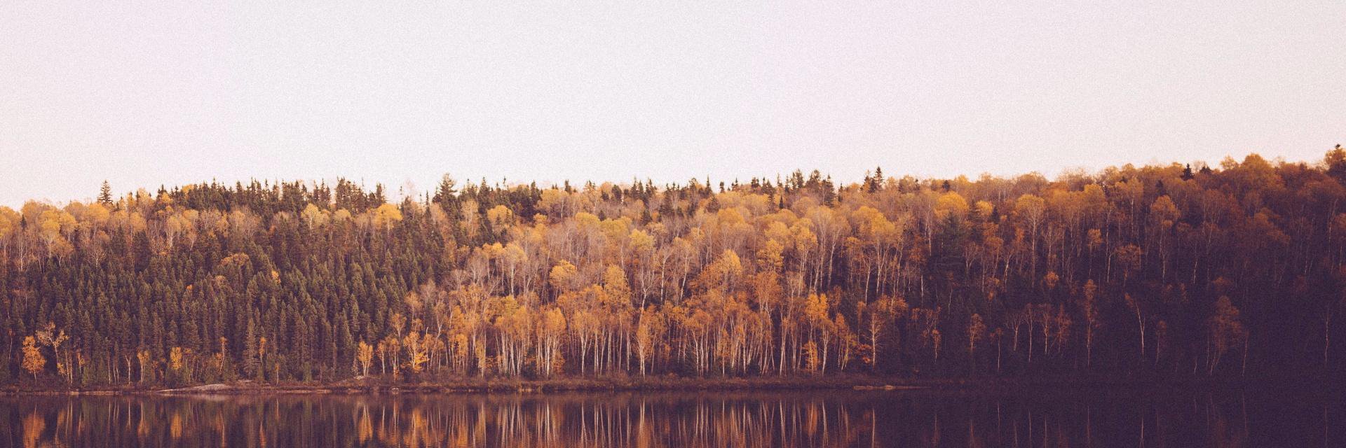 reedxs's profile banner image