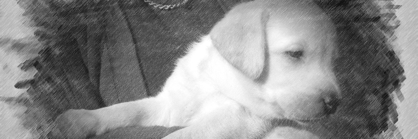 7 lb peg technician banner