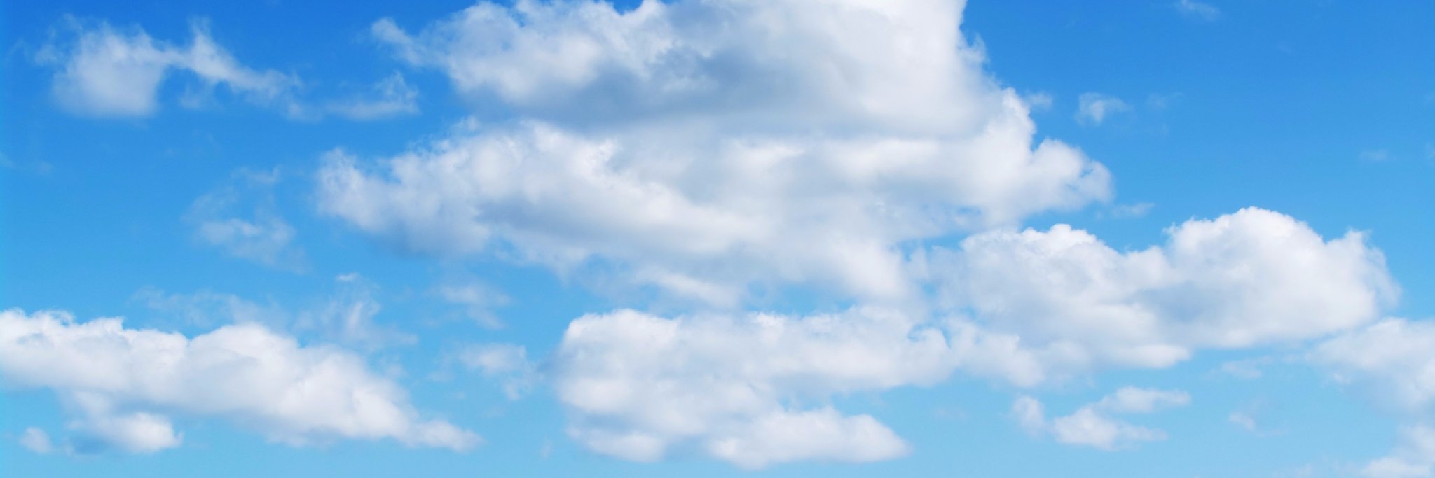 truebin's profile banner image