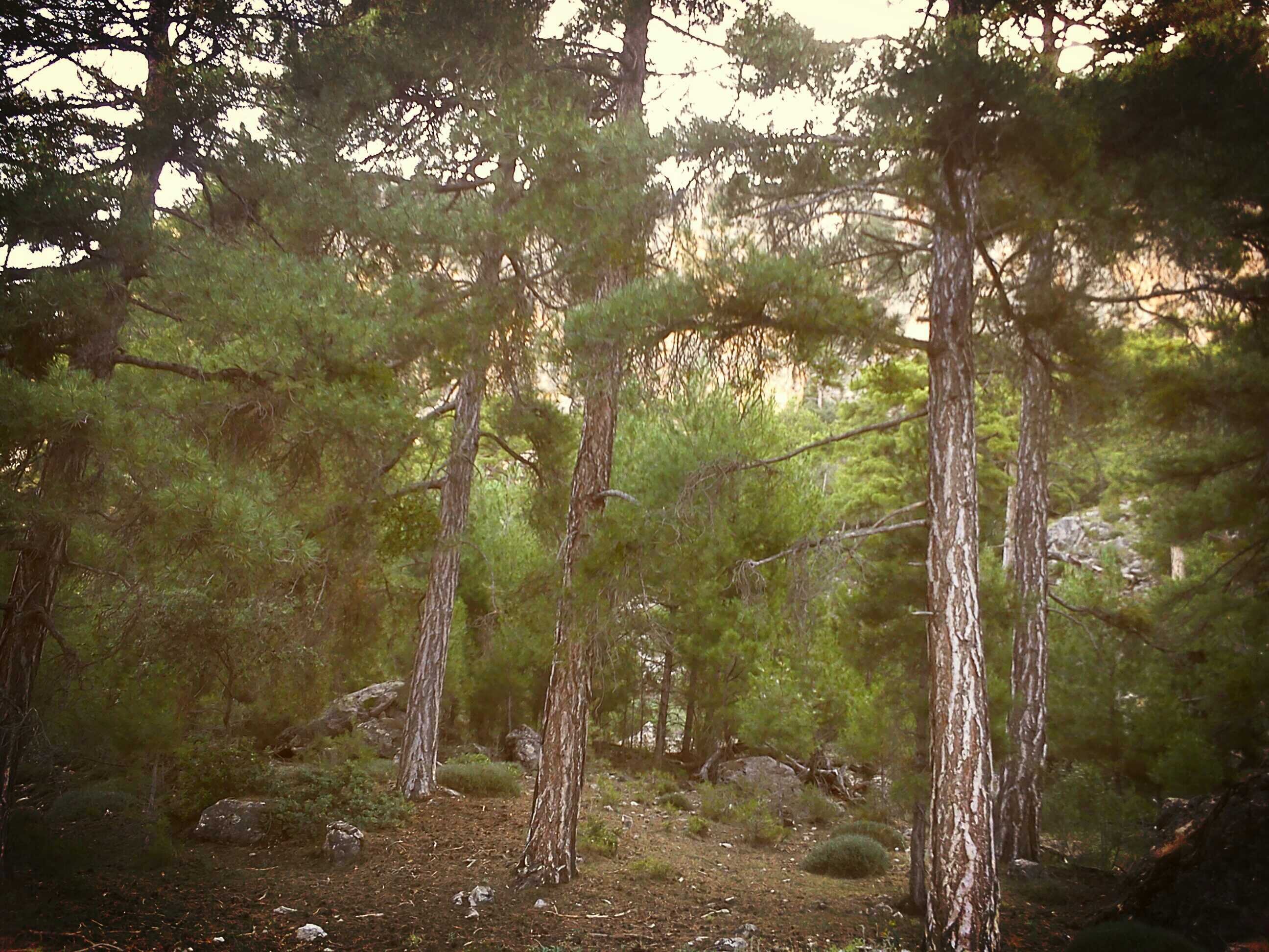 AndreaR_G's profile banner image