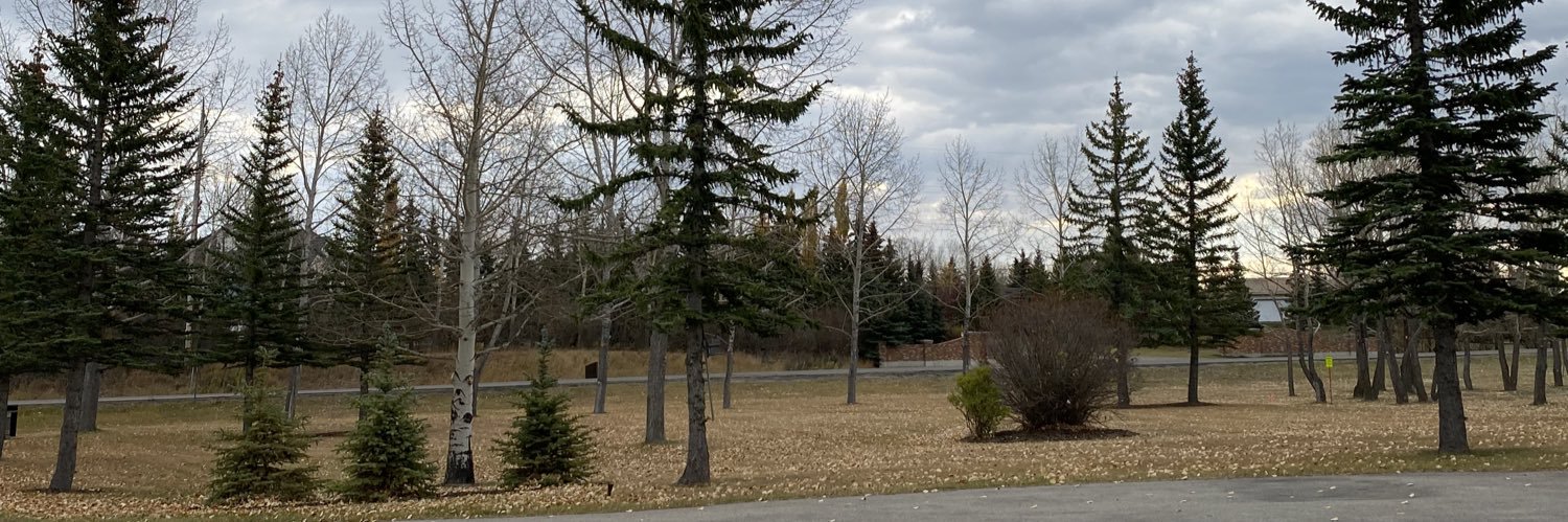 Alexa Dayanara banner
