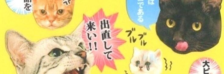 ‧ Froggie cascudo ˖ํׅࣾ ٭ 🐸 banner