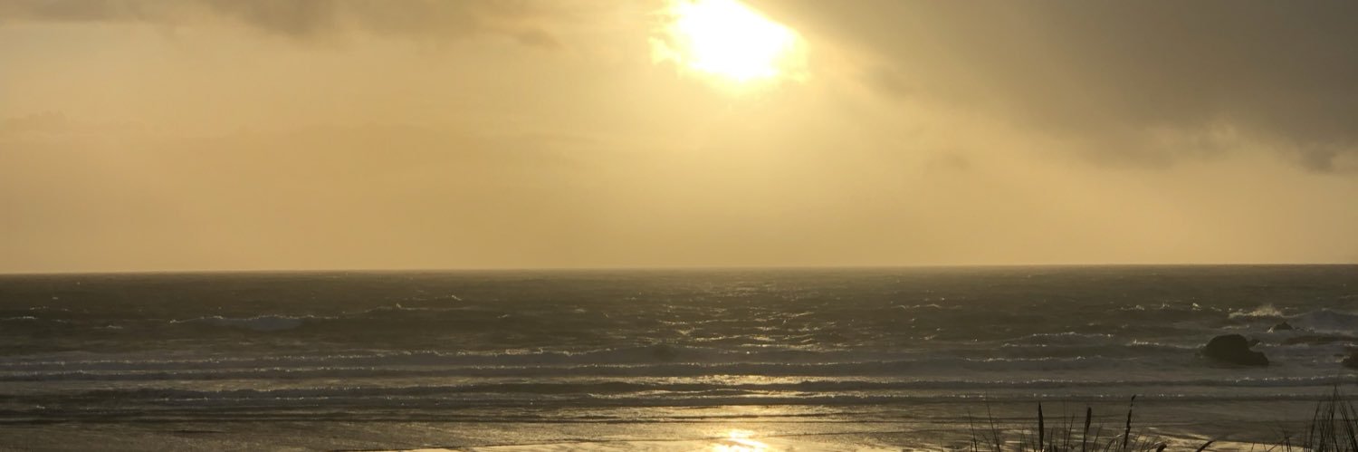 stehealey30's profile banner image
