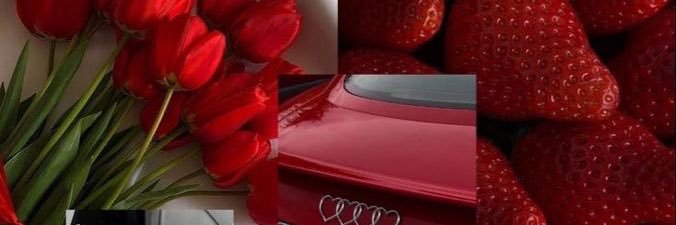 barbienty's profile banner image