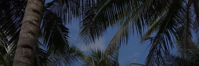 HendersonAlberc's profile banner image