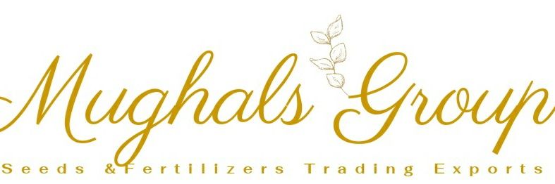 MughalsGroup's profile banner image