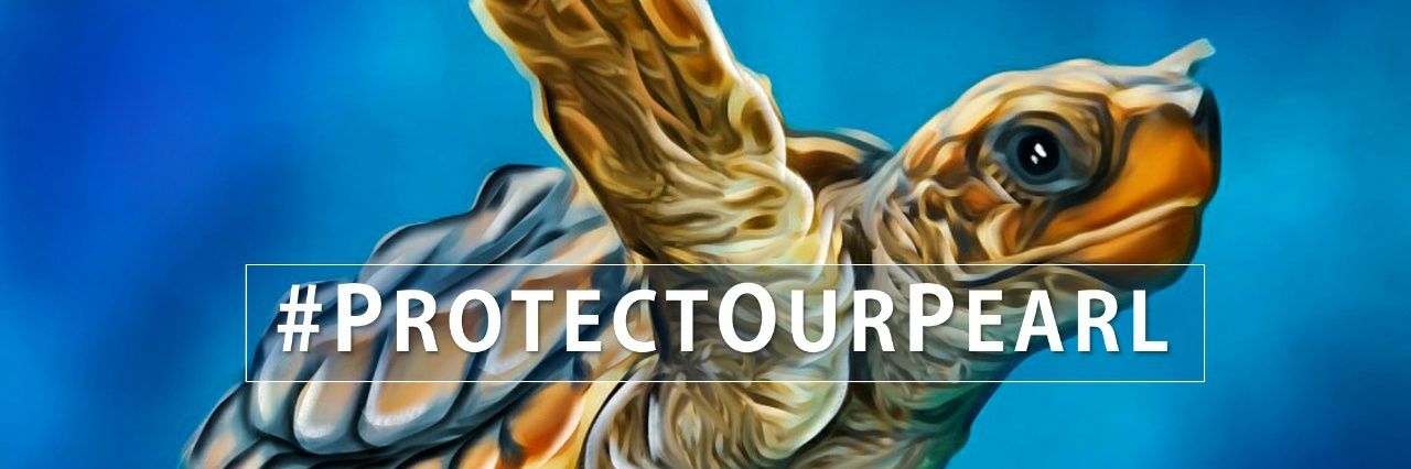 The Pearl Protectors banner