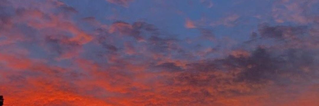 Ambar_grilli's profile banner image