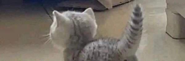 AlexaYelleY Profile Banner
