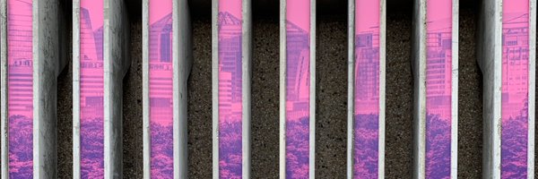 Julia_Rollison Profile Banner