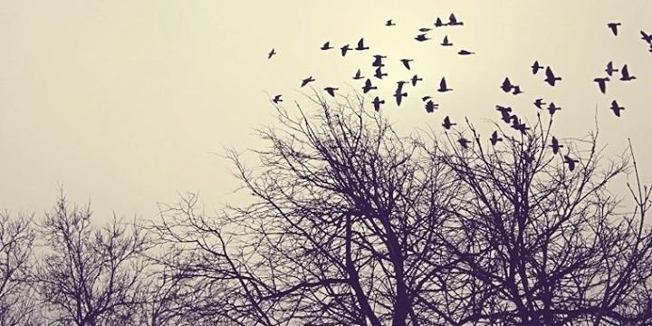 Javiii11's profile banner image