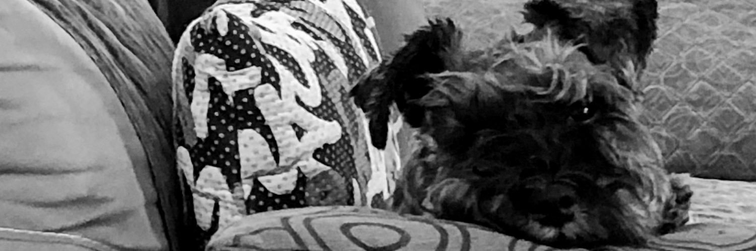 nargot_01's profile banner image
