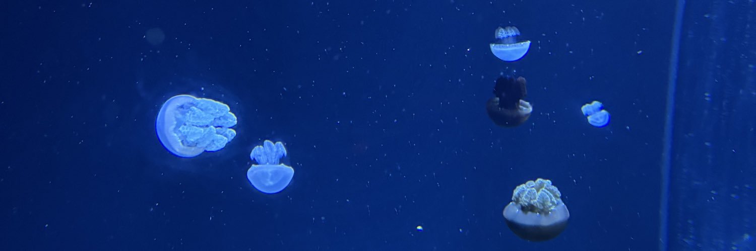 Mrmlana's profile banner image