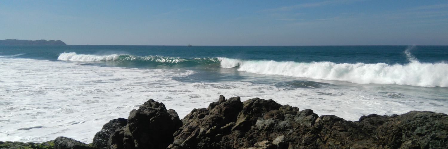 Holom Balam. 🏴‍☠️ on 𝕏. 🍉✊ banner