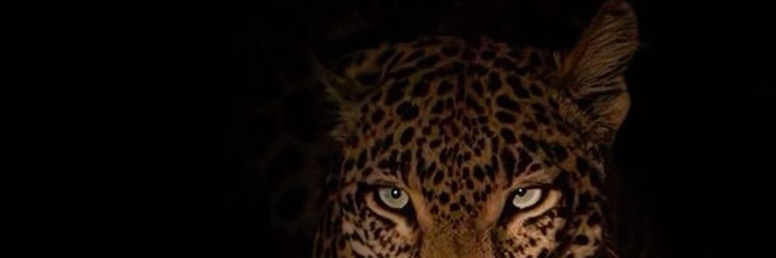 Jesssi_M's profile banner image