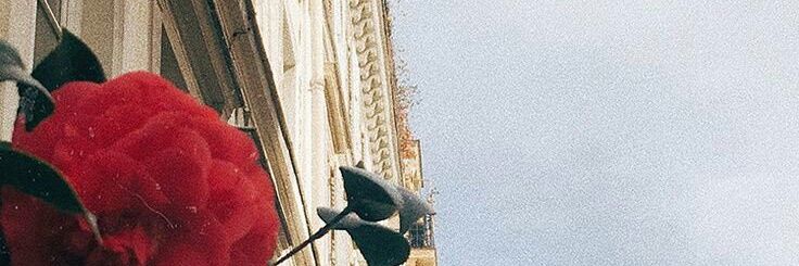 cvtiepella's profile banner image