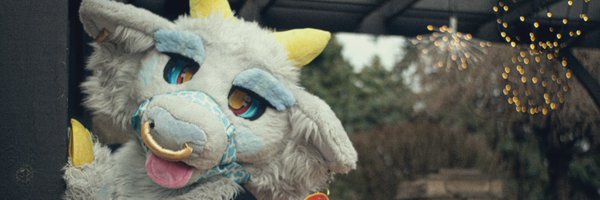 sojucow Profile Banner
