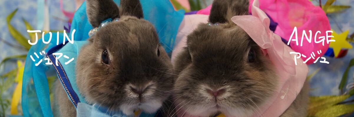 hiroaxs's profile banner image