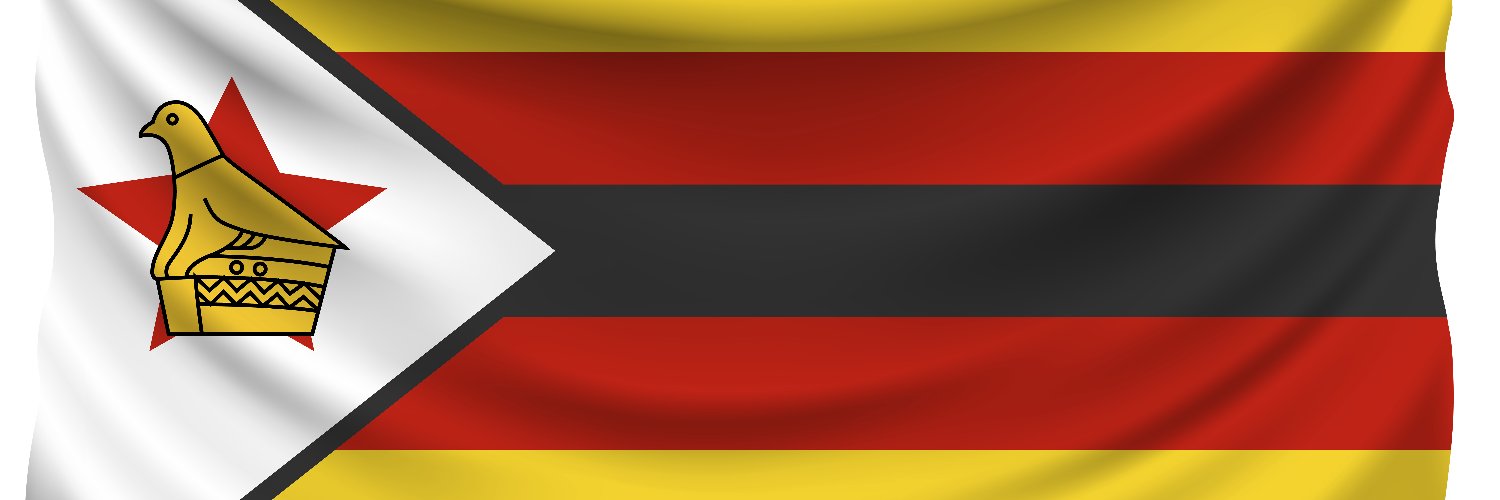 curate_zim's profile banner image