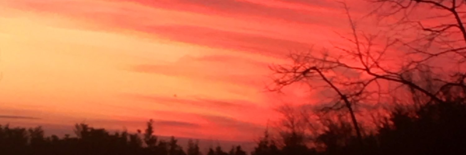 laurafavarel's profile banner image
